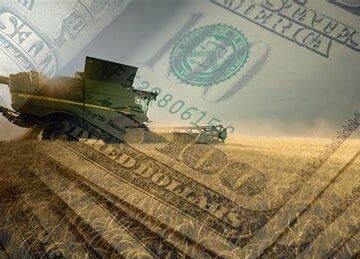 La agroexportación aportó casi US$ 2.900 millones en julio: por qué la caída interanual no enciende alarmas en el sector