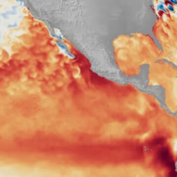 el niño