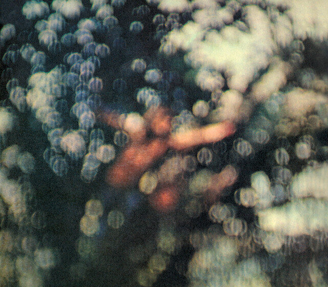 El fin de la niñez entre el pulso de Pink Floyd y la profecía de Arthur Clarke