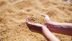 La Cámara de la Industria Aceitera de la República Argentina (CIARA) y el Centro de Exportadores de Cereales (CEC) informaron un ingreso de divisas de 2.750 millones de dólares