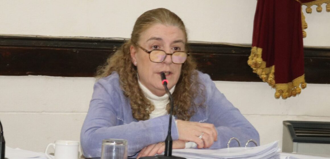 El HCD aprobó un pedido de informes por la compra de camionetas y se encendió el debate por el uso de la flota municipal