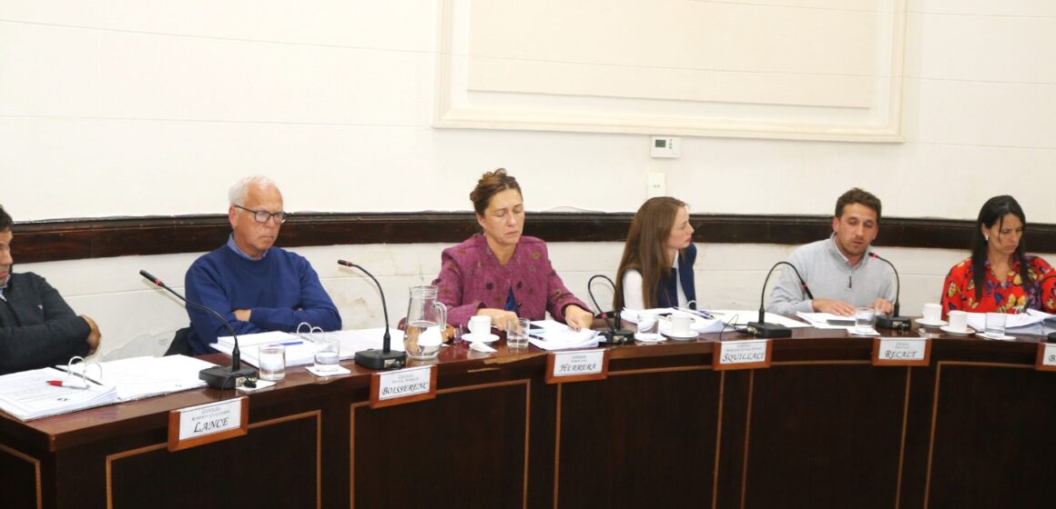 matardero oficilismo Matadero Municipal: el oficialismo consolidó una mayoría en el HCD para encauzar una salida institucional junto a La Libertad Avanza