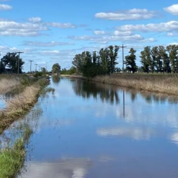 El gobierno de Salomón en la mira de los productores: denuncian presuntas inconsistencias y evaluarán ir a la Justicia
