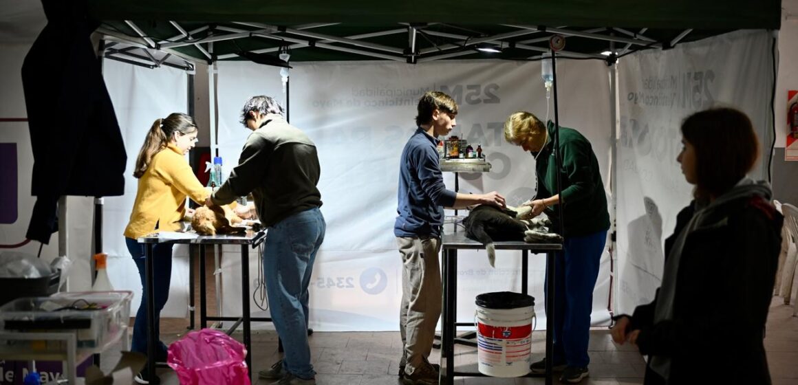 La municipalidad de 25 de Mayo comenzó con nueva campaña de castraciones y vacunación antirrábica en CAPS Villa Obrera