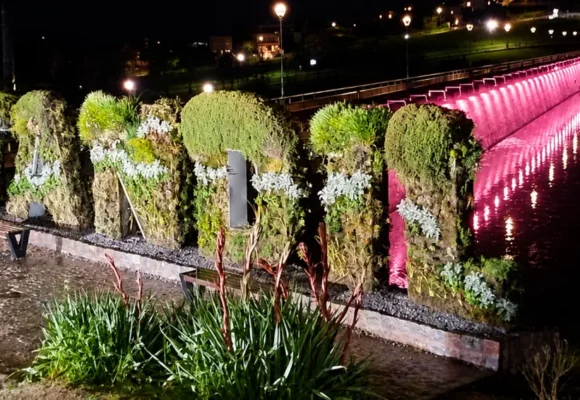 quesos rosas Inició la edición 2026 de la campaña Quesos Rosas en Tandil